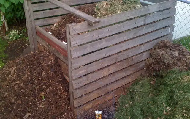 Wooden slatted compost bin full of garden compost