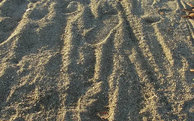 Path surfaced with fine tan decomposed granite