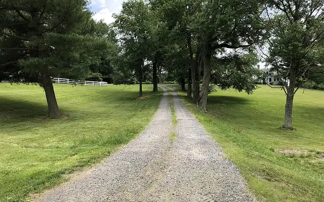 Gravel driveway running between trees and lawn