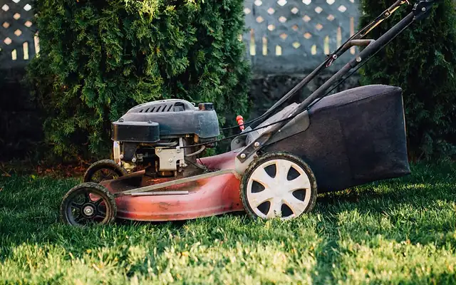 Red push mower on a freshly cut backyard lawn