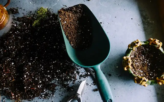 Trowel scooping dark garden soil